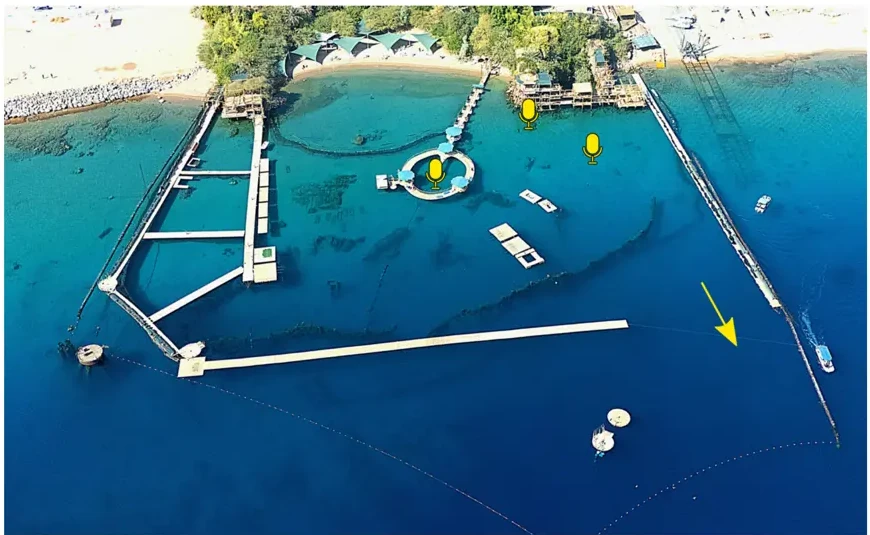 Aerial view of Dolphin Reef showing the fixed hydrophone positions