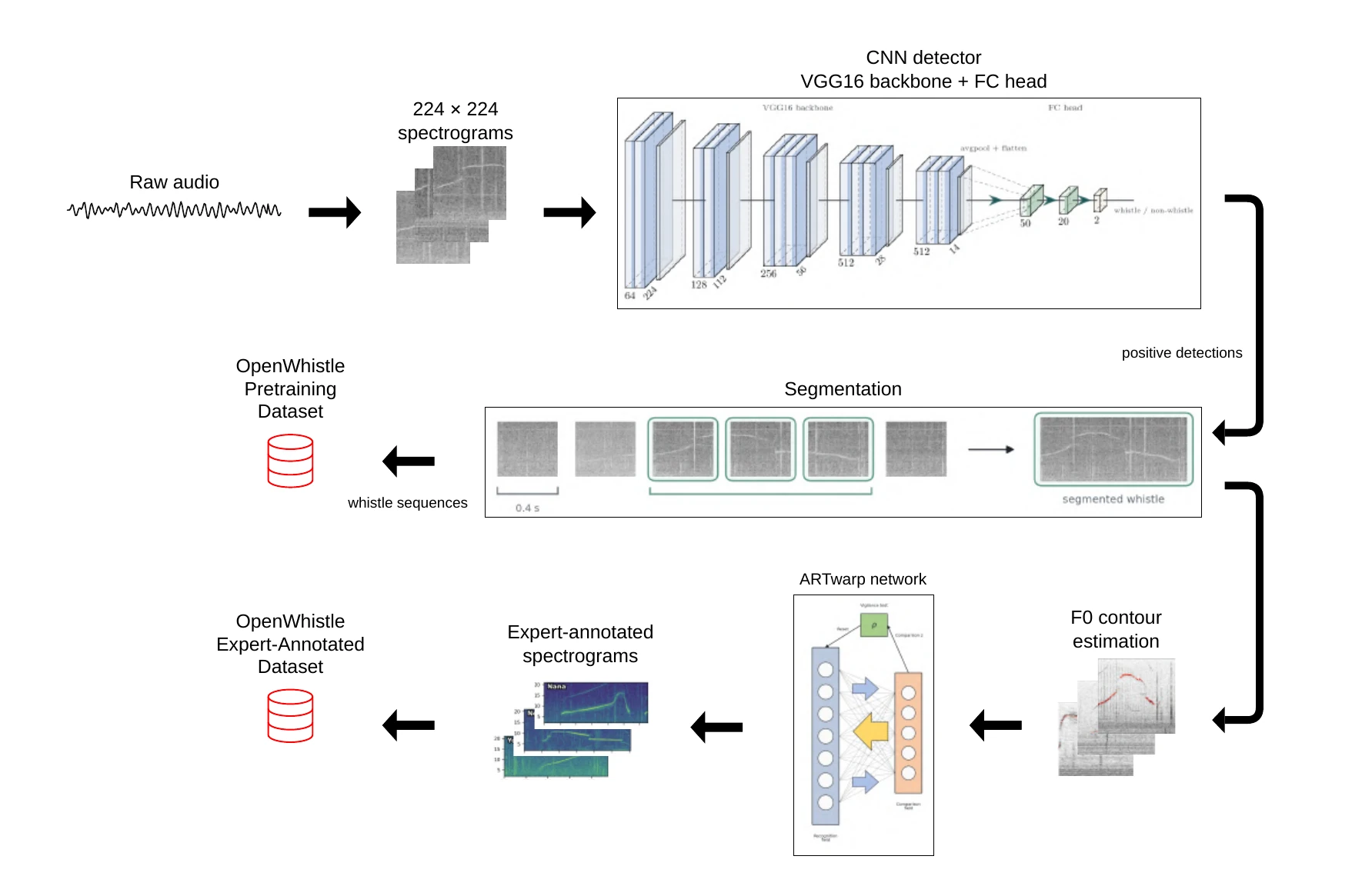 OpenWhistle dataset construction pipeline from raw audio through CNN detection and segmentation to the pretraining and expert-annotated datasets