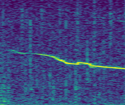 Spectrogram of non-signature whistle type 1